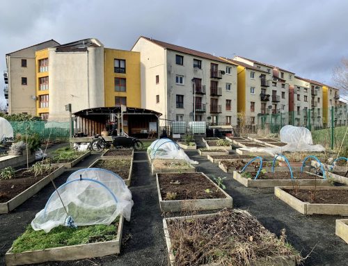 Clovenstone Growers Association